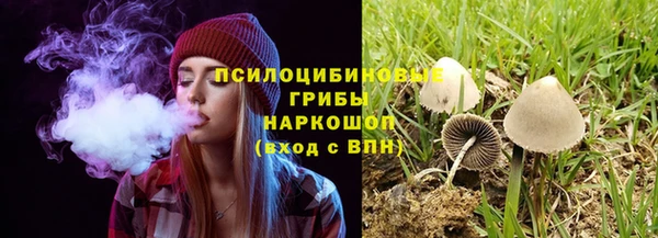 гидропоника Бронницы