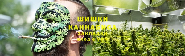 гидропоника Бронницы