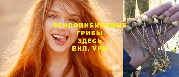 гидропоника Бронницы