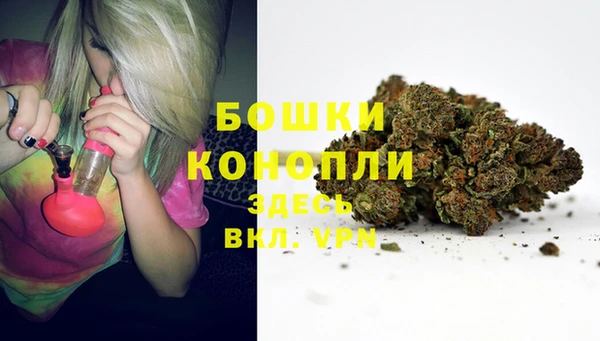 ALPHA PVP Бородино