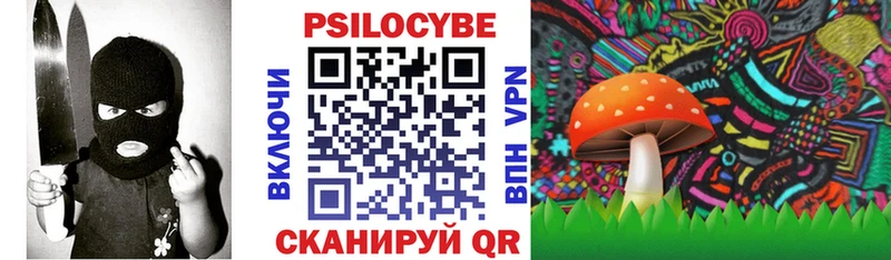 Псилоцибиновые грибы Psilocybe  Надым 